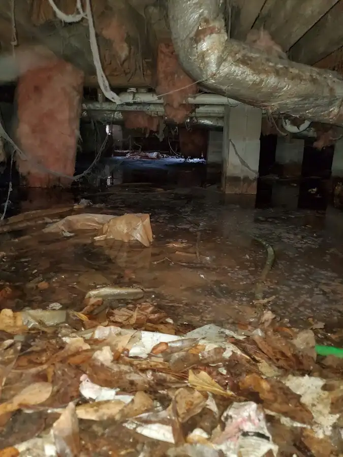 Crawl space flood assessment for Leak Detection & Repair in Ocean City
